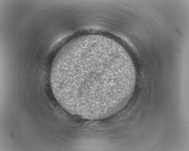 X0000115060967200911231211