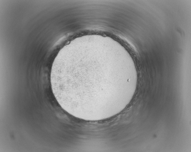 X0000115060968200911231211