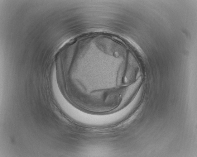 X0000115060969200911231211