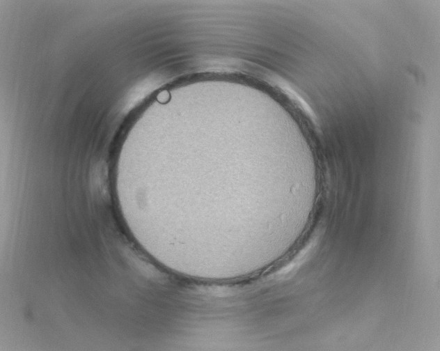 X0000115060970200911231211