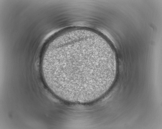 X0000115060971200911231211