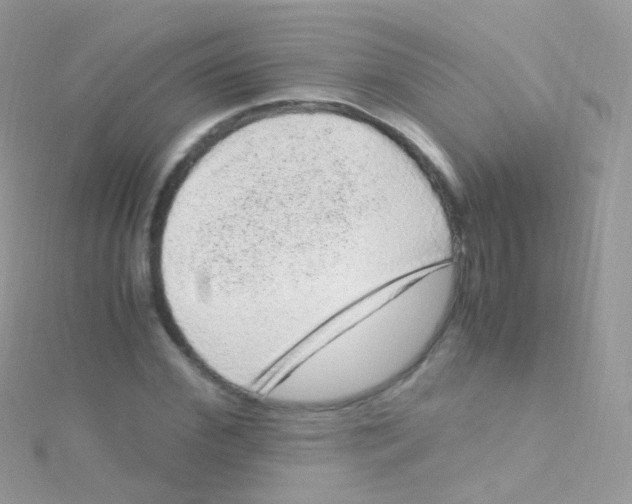 X0000115060972200911231211