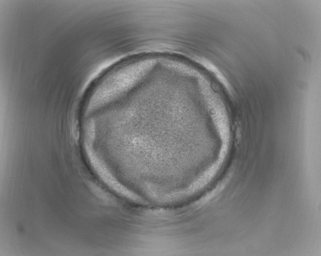 X0000115060973200911231211