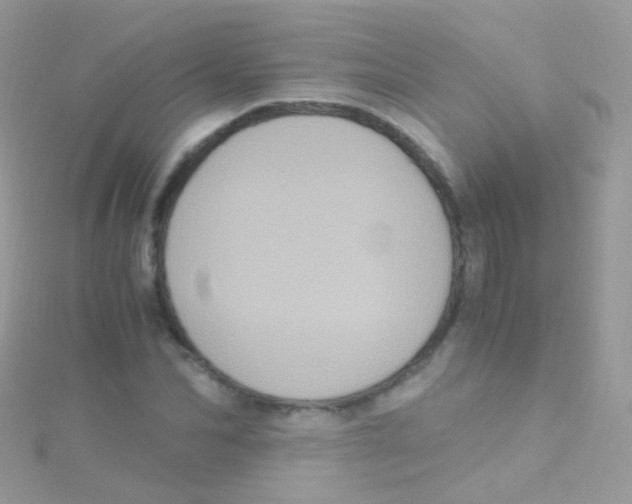 X0000115060974200911231211