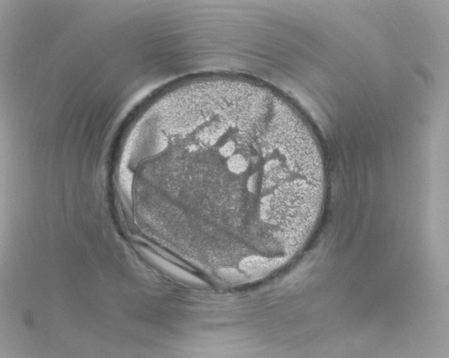 X0000115060975200911231211