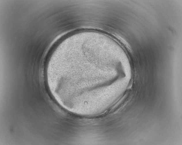 X0000115060976200911231211