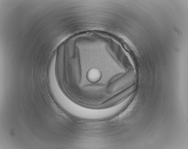 X0000115060977200911231211