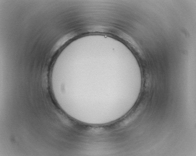 X0000115060978200911231211