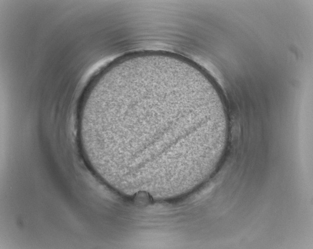 X0000115060979200911231211