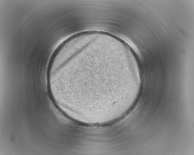 X0000115060980200911231211