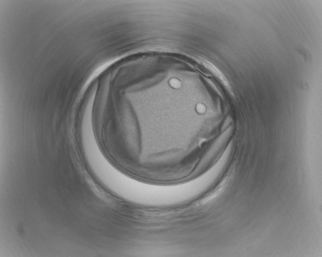 X0000115060981200911231211