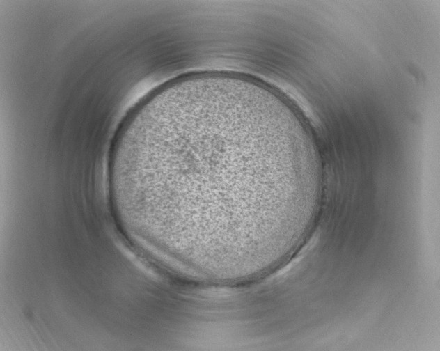 X0000115060982200911231211