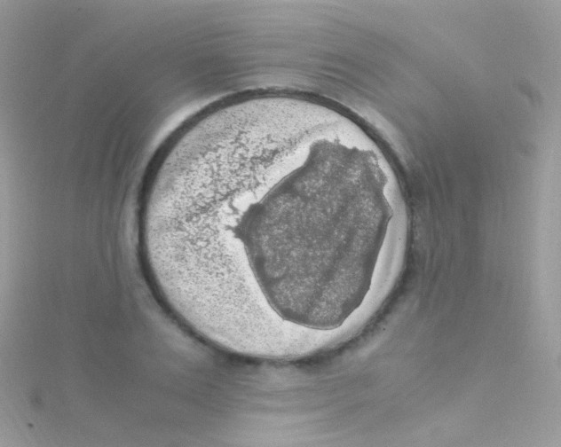 X0000115060983200911231211