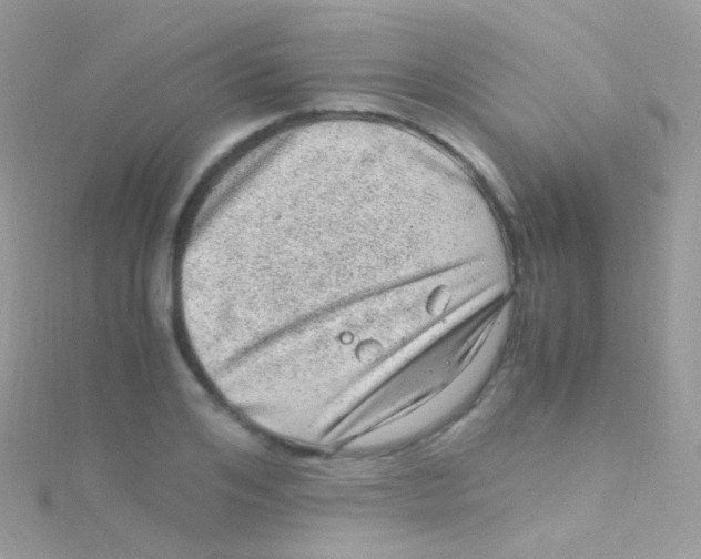 X0000115060984200911231211