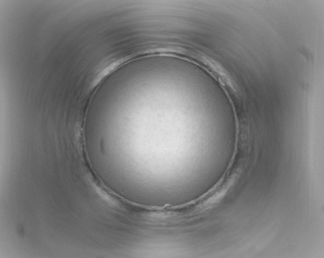 X0000115060985200911231211