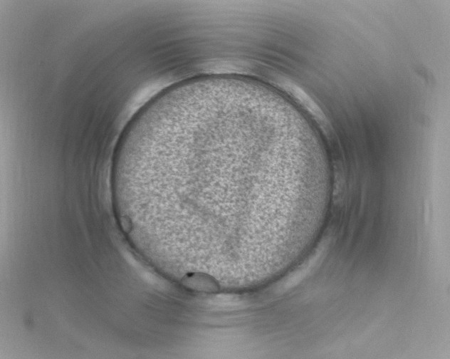 X0000115060986200911231211