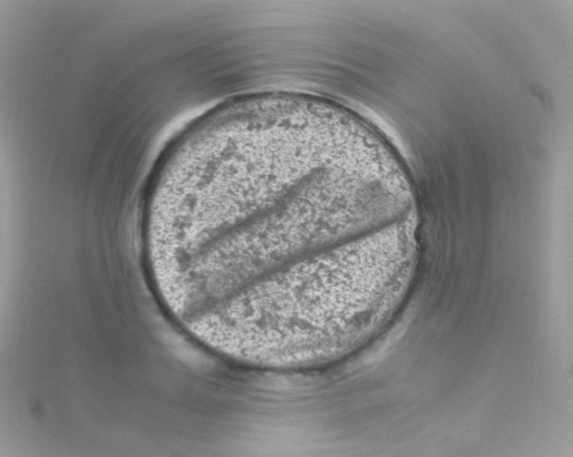 X0000115060987200911231211