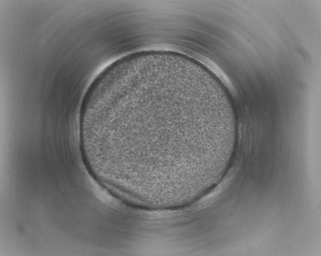 X0000115060988200911231211