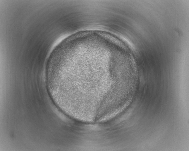 X0000115060990200911231211