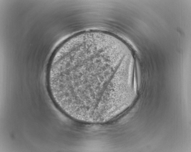 X0000115060991200911231211