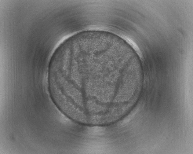 X0000115060992200911231211