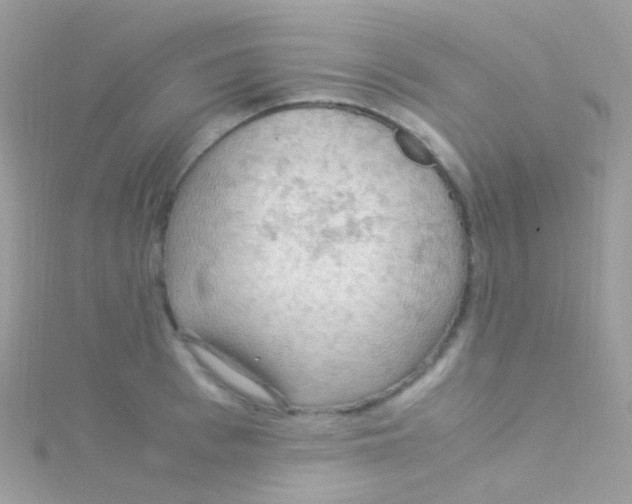 X0000115060993200911231211