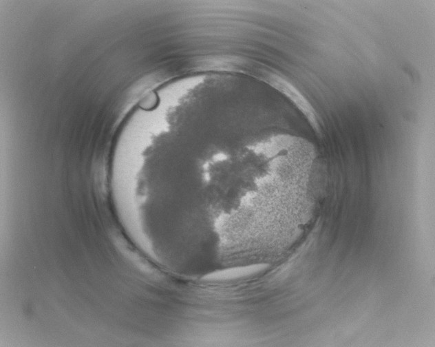 X0000115060994200911231211