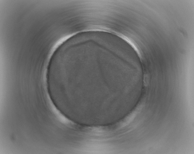 X0000115060995200911231211