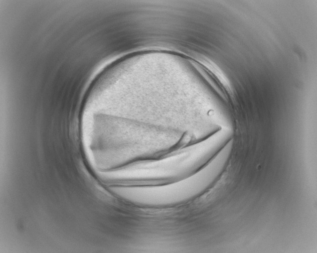 X0000115060996200911231211