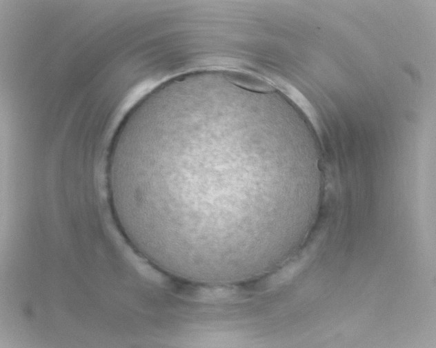 X0000115060997200911231211