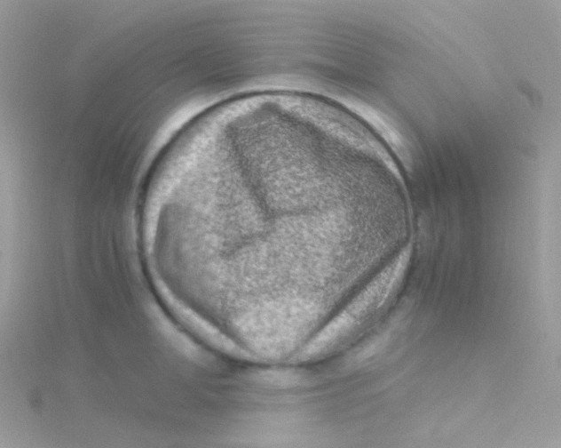 X0000115060998200911231211