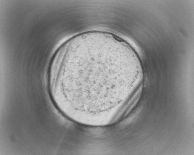 X0000115060999200911231211