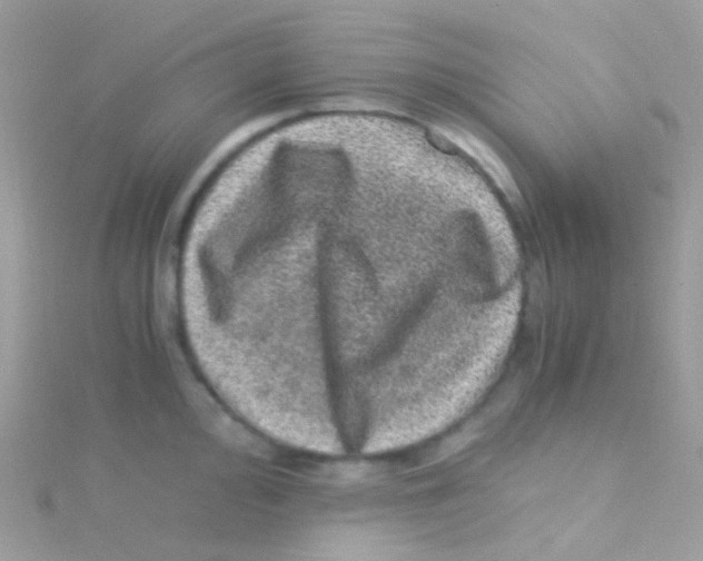 X0000115061000200911231211