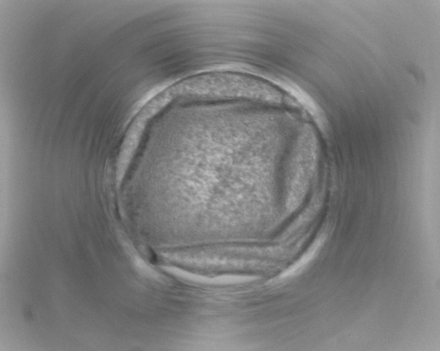 X0000115061001200911231211