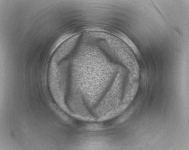 X0000115061002200911231211