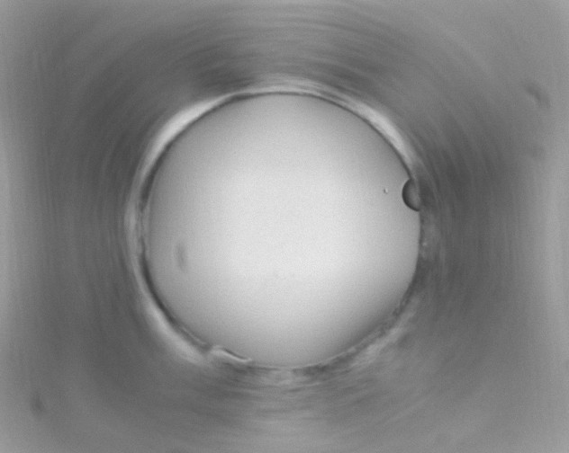 X0000115061003200911231211