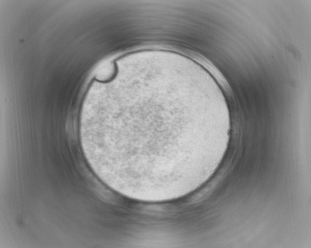 X0000115061004200911231211