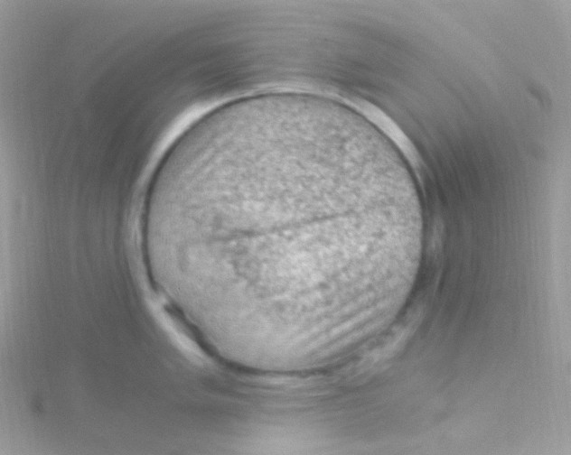 X0000115061005200911231211