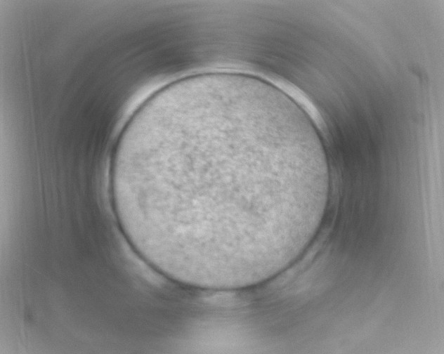 X0000115061006200911231211