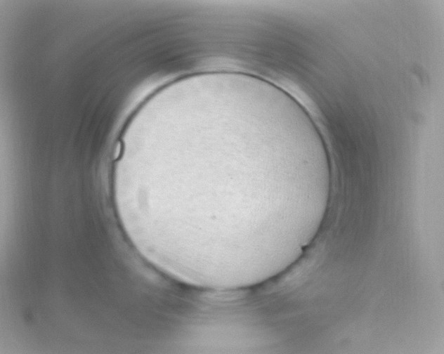 X0000115061008200911231211