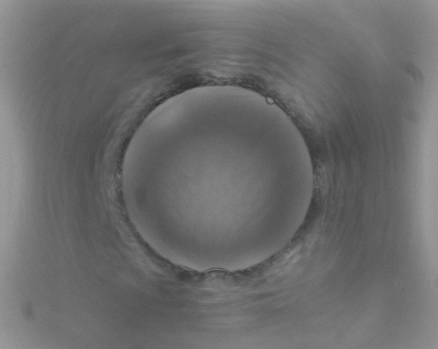 X0000115061009200911231210