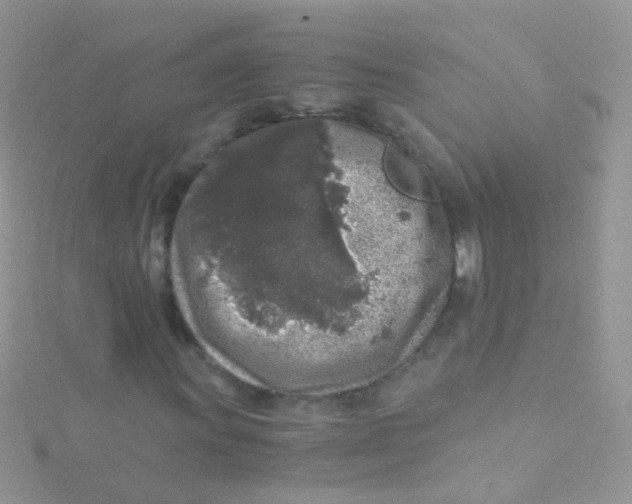 X0000115061011200911231210