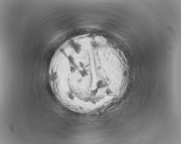 X0000115061014200911231210