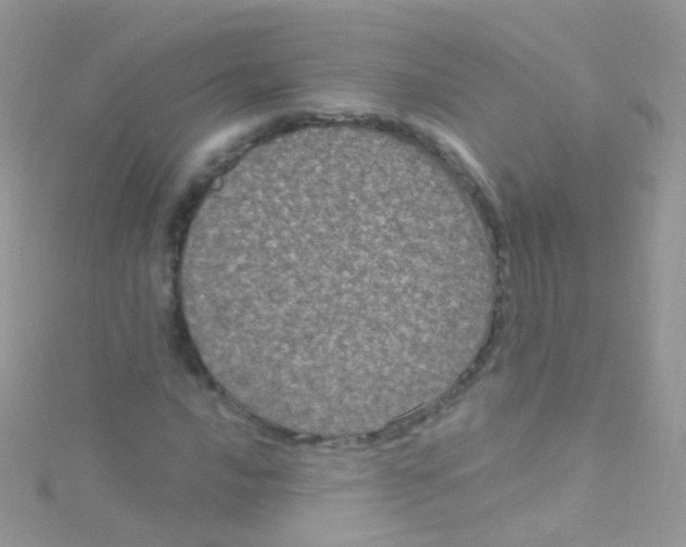 X0000115061016200911231210