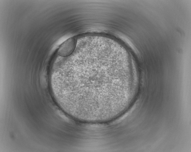 X0000115061018200911231210