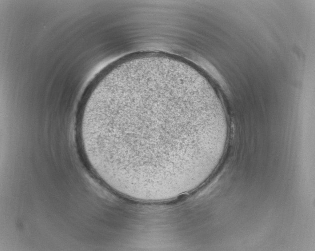 X0000115061020200911231210