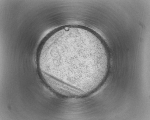 X0000115061022200911231210