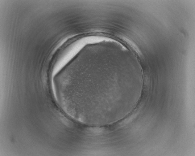 X0000115061023200911231210