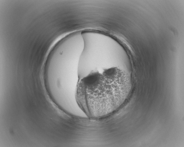 X0000115061024200911231210