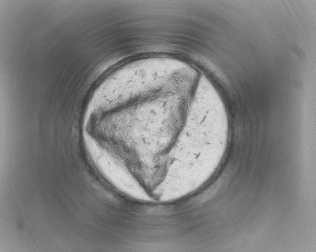 X0000115061025200911231210